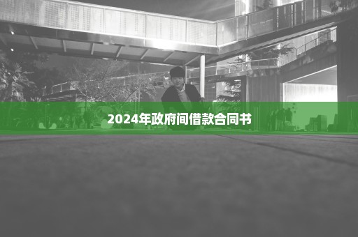 2024年政府间借款合同书