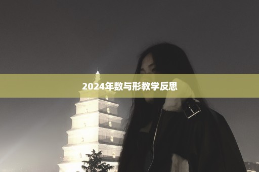 2024年数与形教学反思