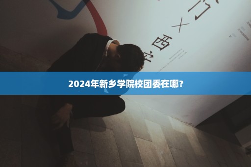 2024年新乡学院校团委在哪？