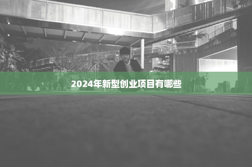 2024年新型创业项目有哪些