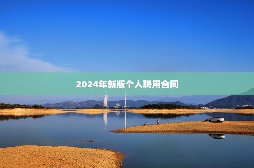 2024年新版个人聘用合同