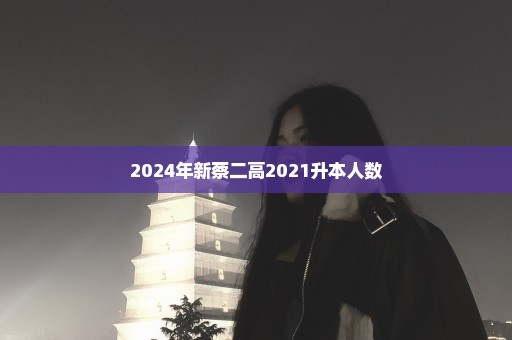 2024年新蔡二高2021升本人数