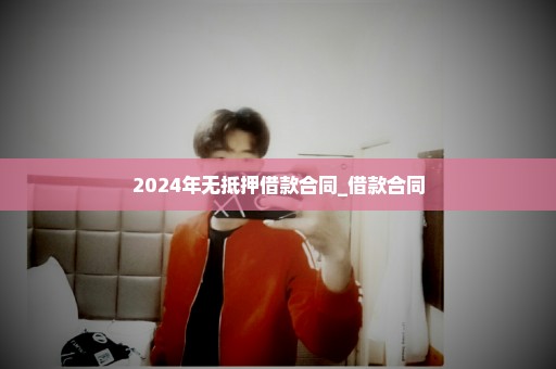 2024年无抵押借款合同_借款合同