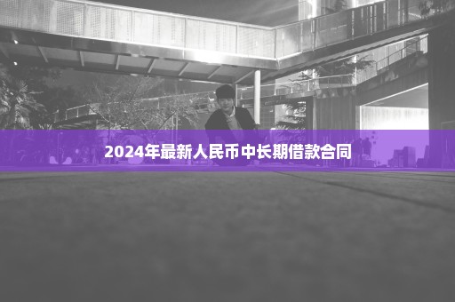 2024年最新人民币中长期借款合同