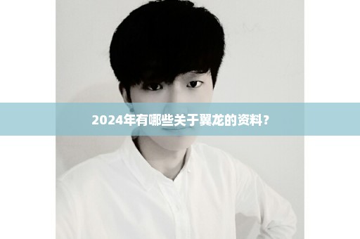 2024年有哪些关于翼龙的资料？