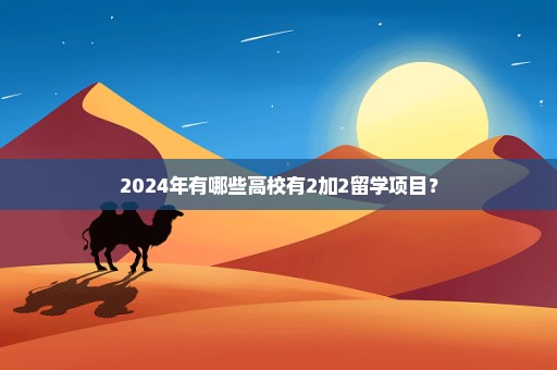 2024年有哪些高校有2加2留学项目？