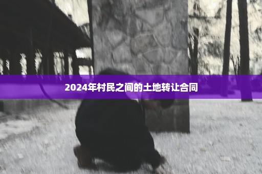 2024年村民之间的土地转让合同