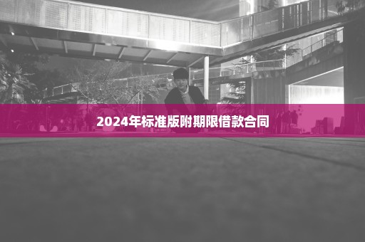 2024年标准版附期限借款合同