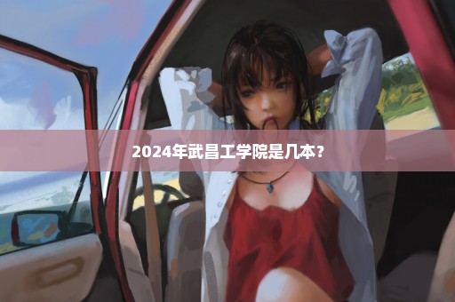 2024年武昌工学院是几本？