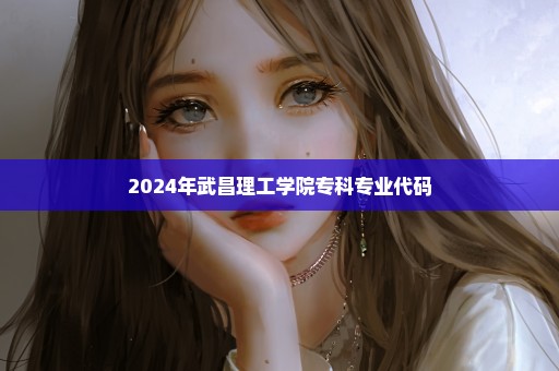 2024年武昌理工学院专科专业代码