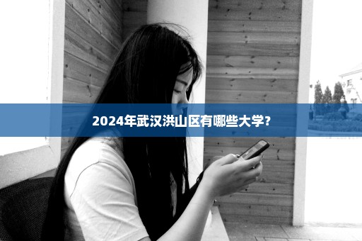 2024年武汉洪山区有哪些大学？