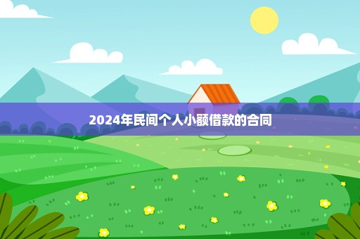 2024年民间个人小额借款的合同