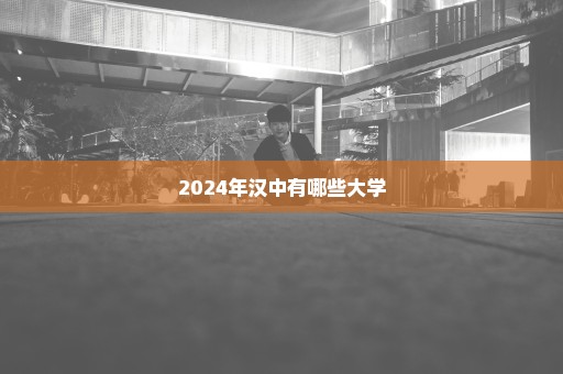 2024年汉中有哪些大学