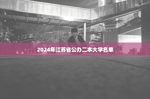 2024年江苏省公办二本大学名单