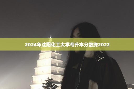 2024年沈阳化工大学专升本分数线2022