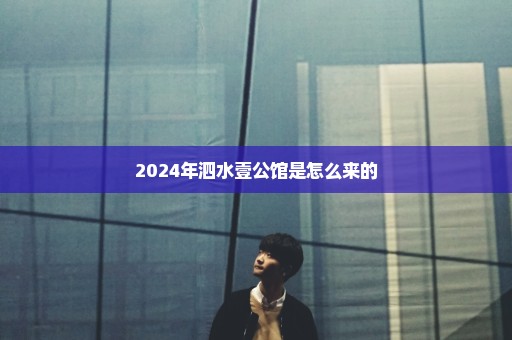 2024年泗水壹公馆是怎么来的