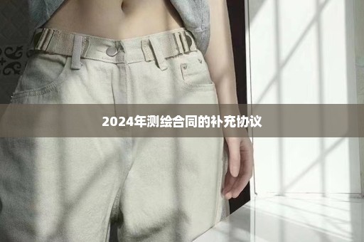 2024年测绘合同的补充协议