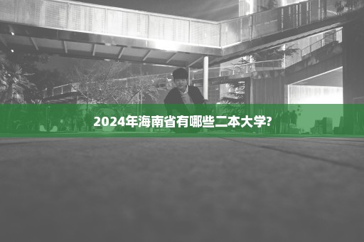 2024年海南省有哪些二本大学?