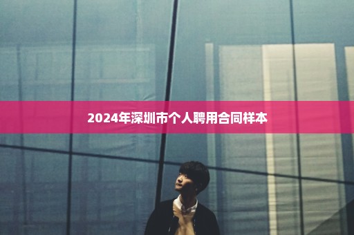 2024年深圳市个人聘用合同样本