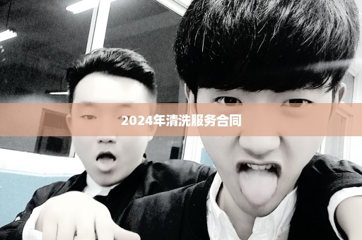 2024年清洗服务合同