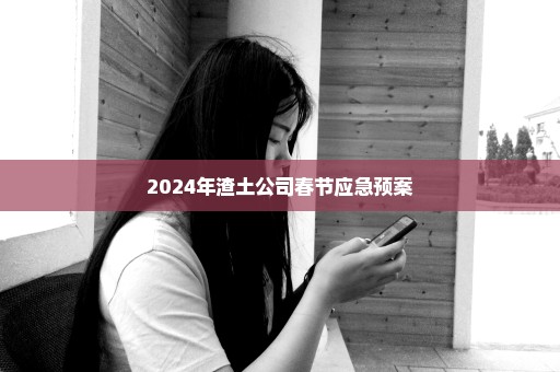 2024年渣土公司春节应急预案