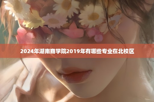 2024年湖南商学院2019年有哪些专业在北校区