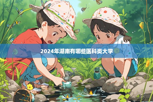 2024年湖南有哪些医科类大学