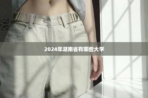 2024年湖南省有哪些大学