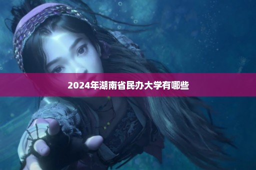 2024年湖南省民办大学有哪些