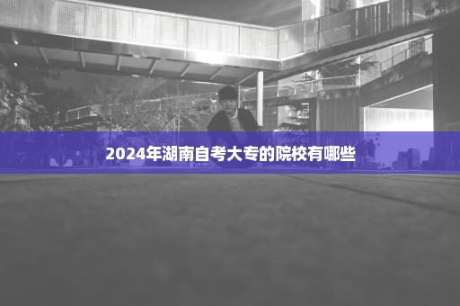 2024年湖南自考大专的院校有哪些