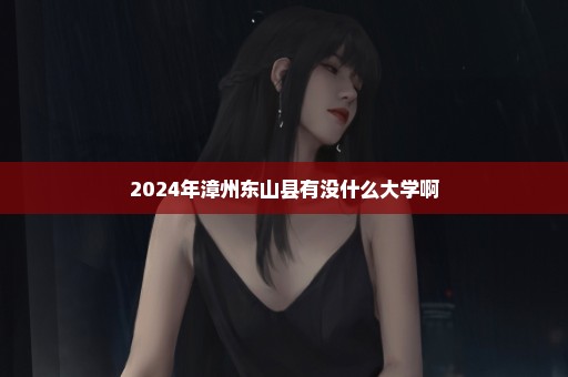 2024年漳州东山县有没什么大学啊