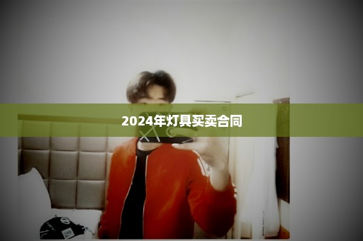 2024年灯具买卖合同