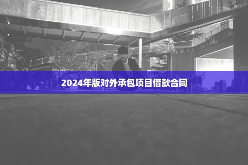 2024年版对外承包项目借款合同