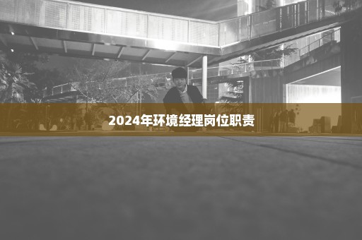 2024年环境经理岗位职责