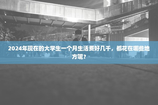 2024年现在的大学生一个月生活费好几千，都花在哪些地方呢？