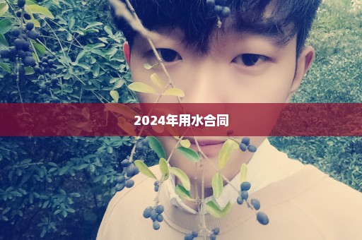 2024年用水合同