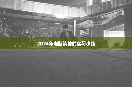 2024年电脑销售的实习小结