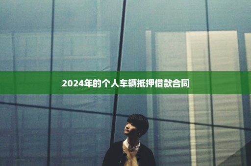 2024年的个人车辆抵押借款合同