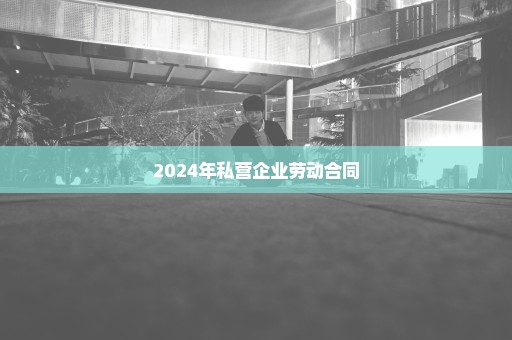 2024年私营企业劳动合同