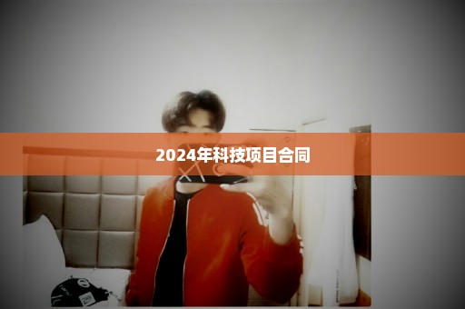 2024年科技项目合同