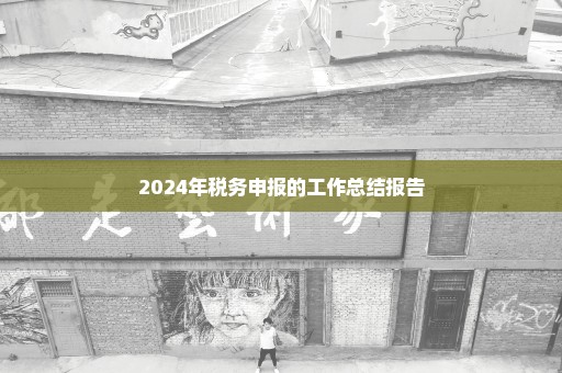 2024年税务申报的工作总结报告