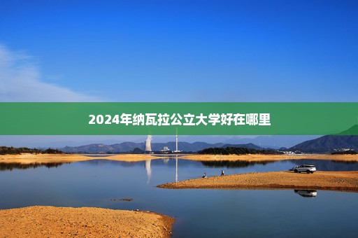 2024年纳瓦拉公立大学好在哪里