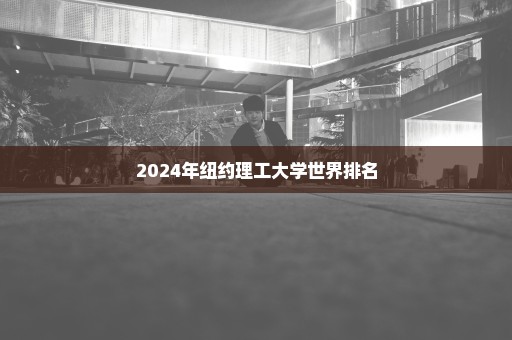 2024年纽约理工大学世界排名