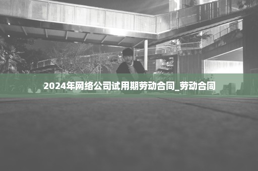 2024年网络公司试用期劳动合同_劳动合同