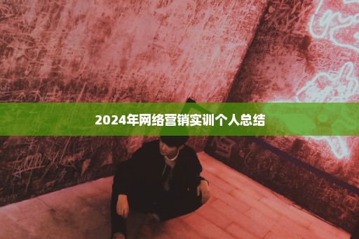 2024年网络营销实训个人总结