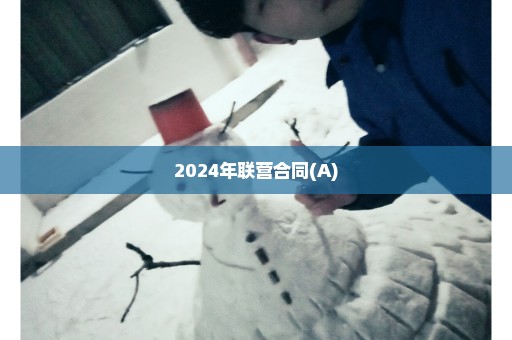 2024年联营合同(A)