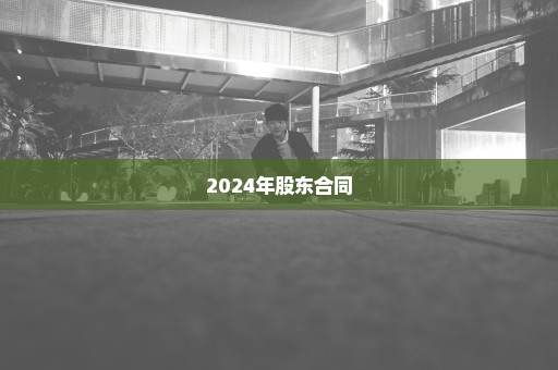 2024年股东合同