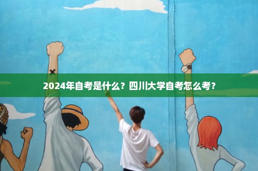 2024年自考是什么？四川大学自考怎么考？