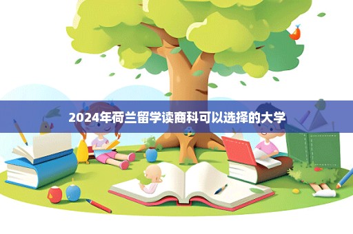 2024年荷兰留学读商科可以选择的大学