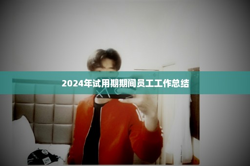 2024年试用期期间员工工作总结